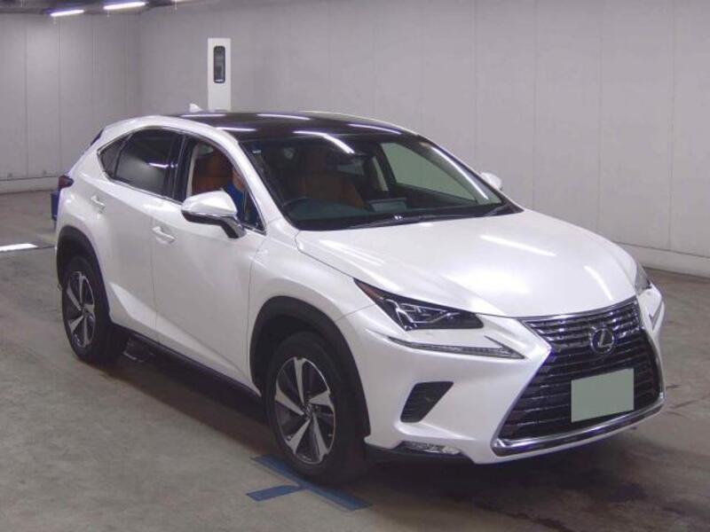 LEXUS NX