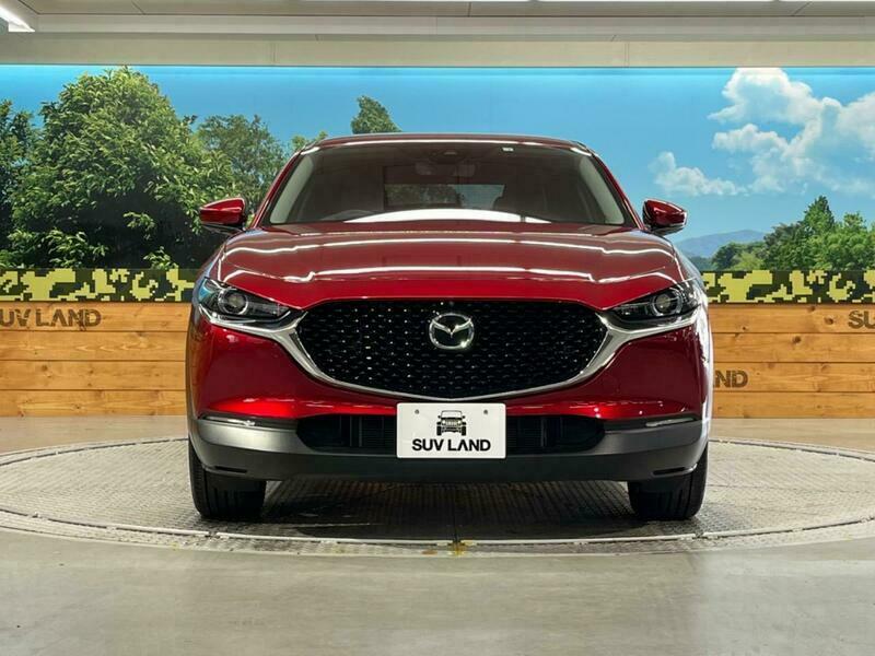 CX-30
