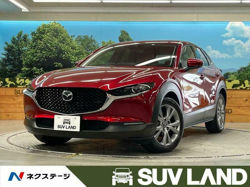 CX-30