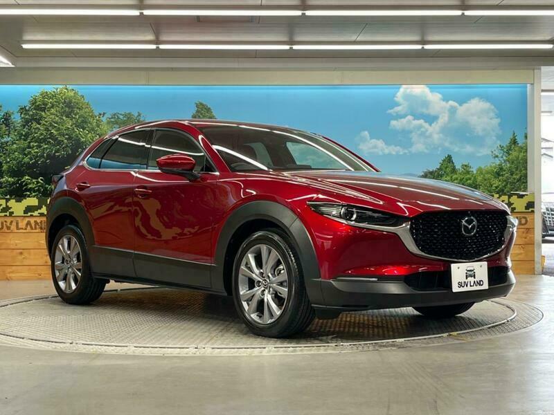 CX-30