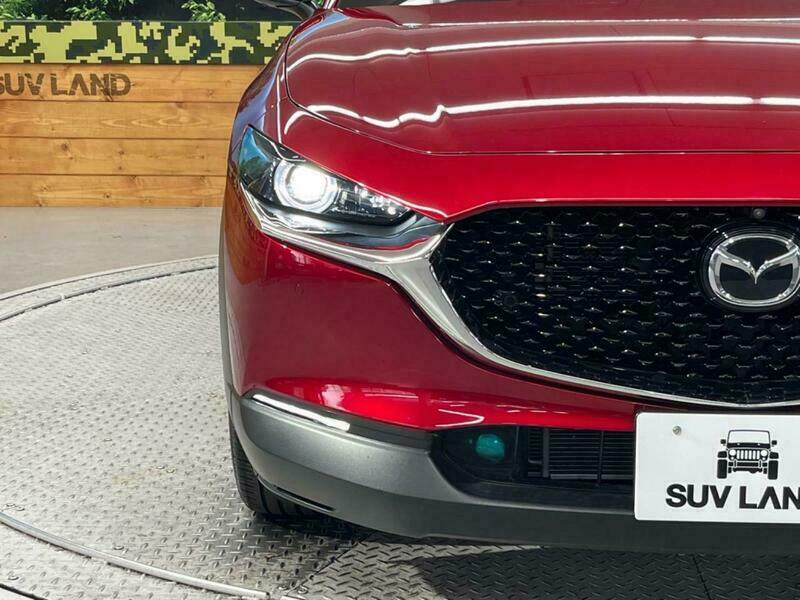 CX-30