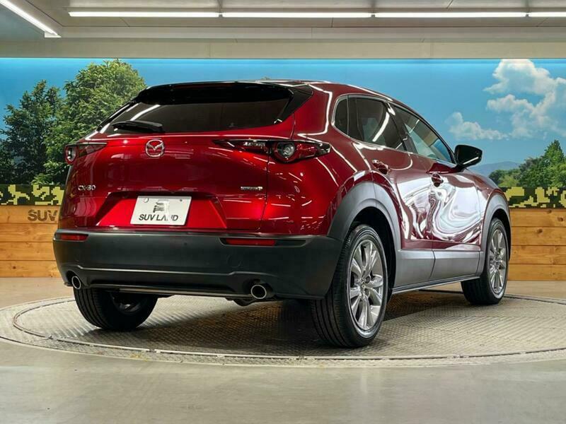 CX-30