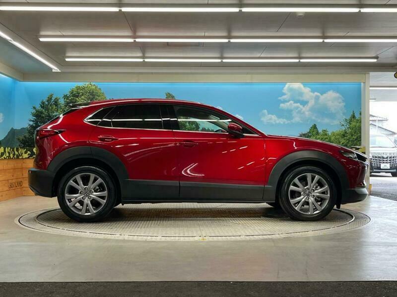 CX-30