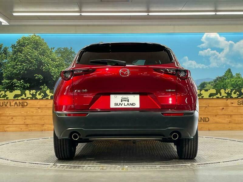 CX-30