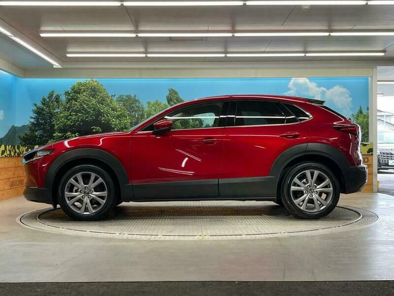 CX-30