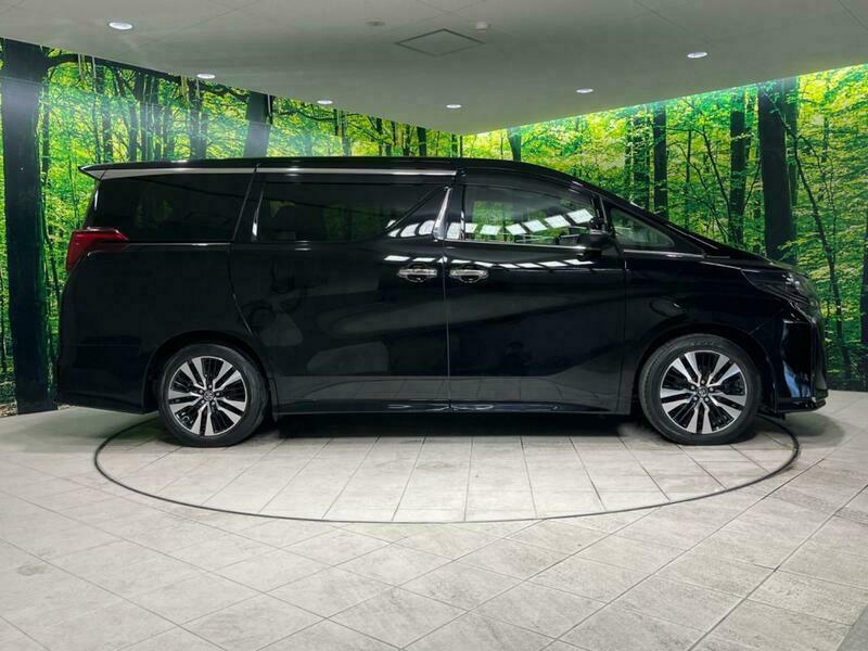 ALPHARD-64