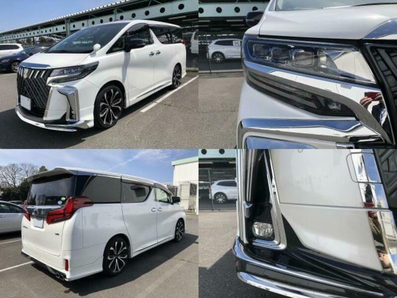 ALPHARD-3