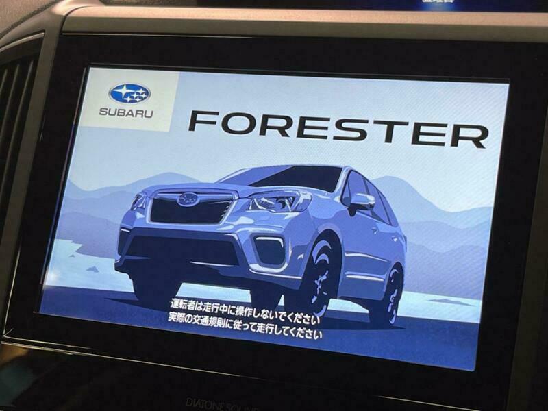 FORESTER-81