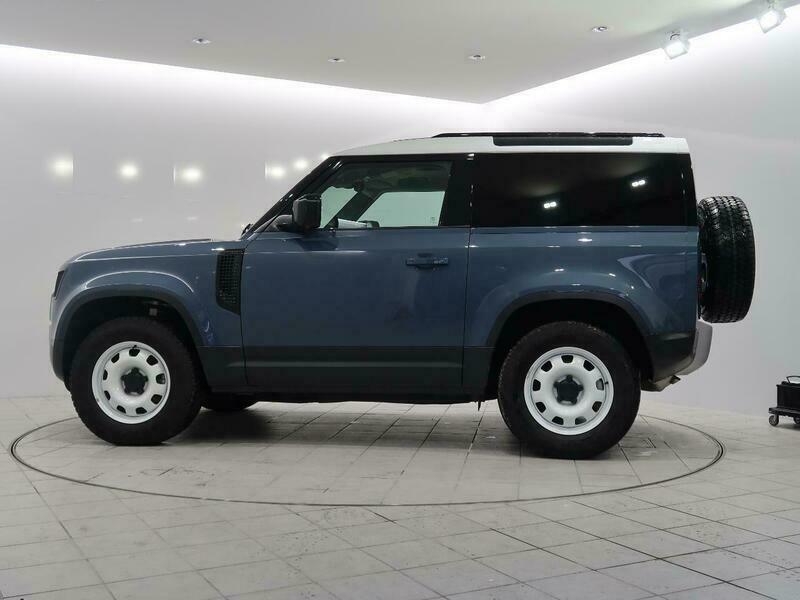 DEFENDER-31