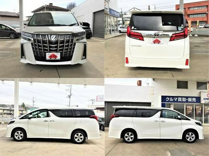 ALPHARD-8