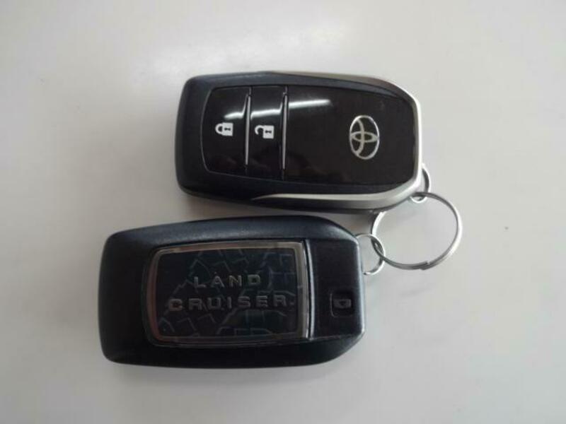 LAND CRUISER