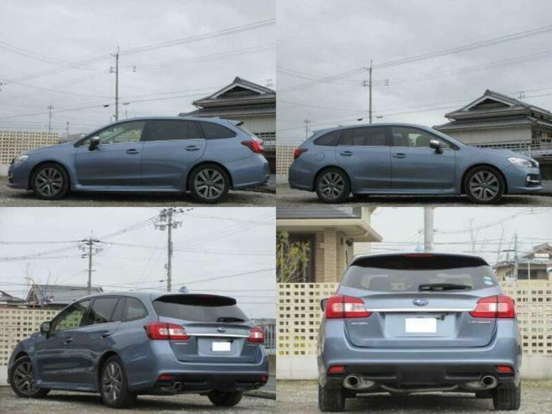 LEVORG