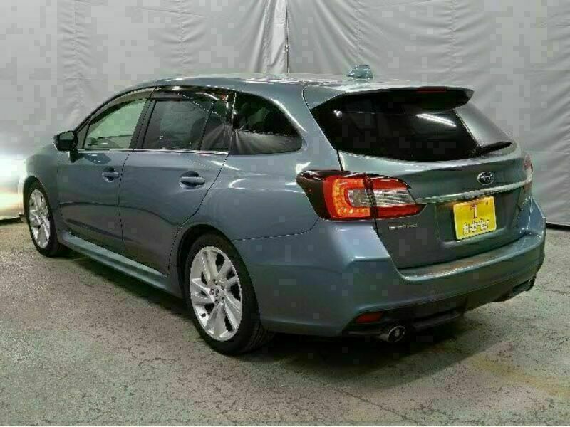 LEVORG