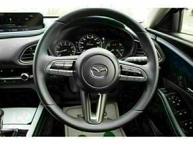 CX-30