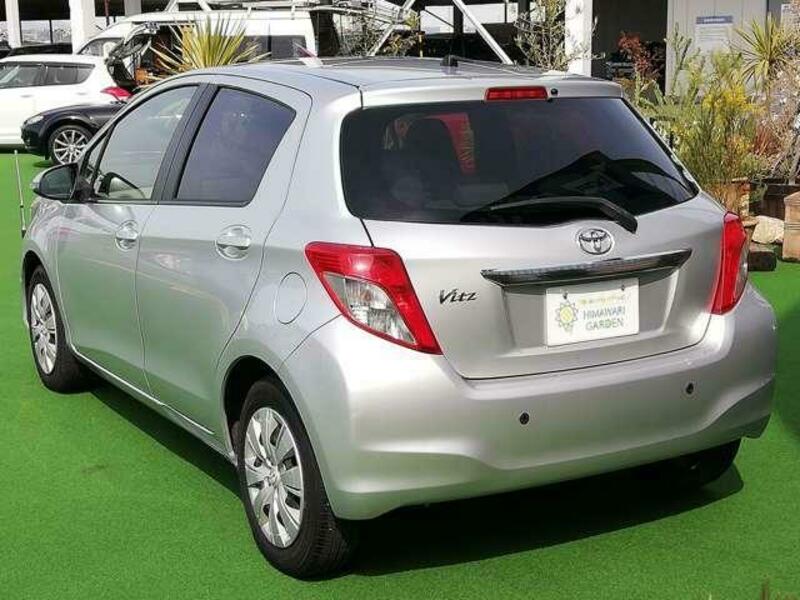 VITZ-3