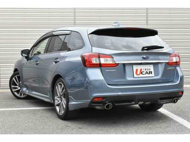LEVORG