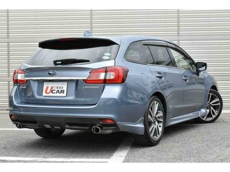 LEVORG