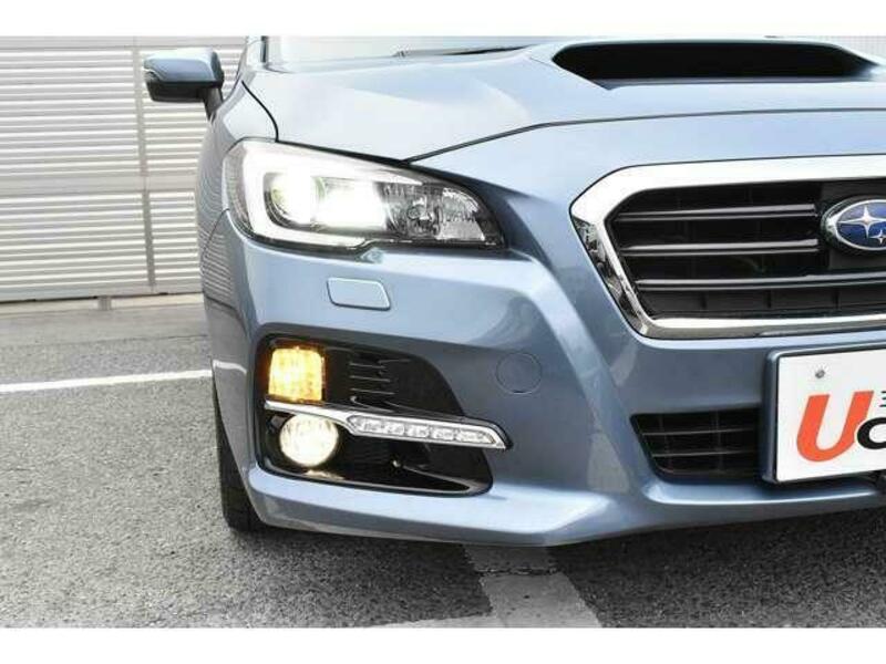 LEVORG