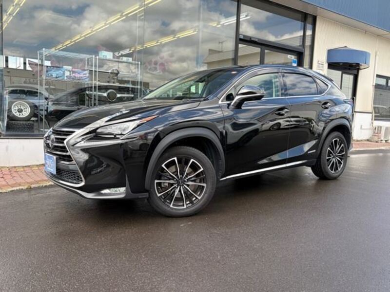 LEXUS NX
