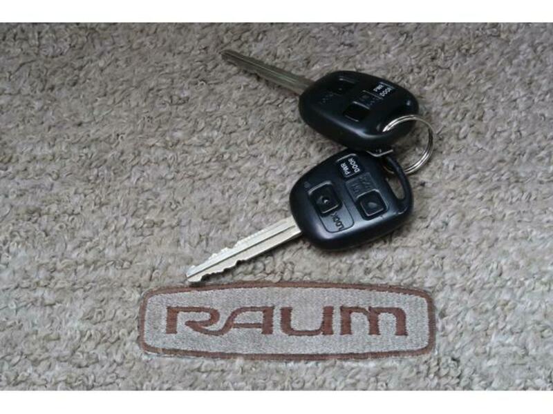 RAUM-13