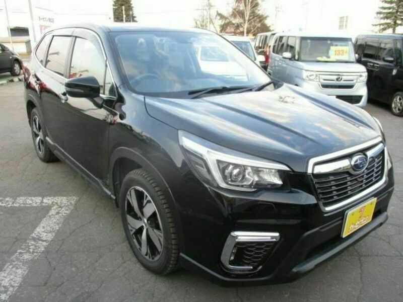 FORESTER