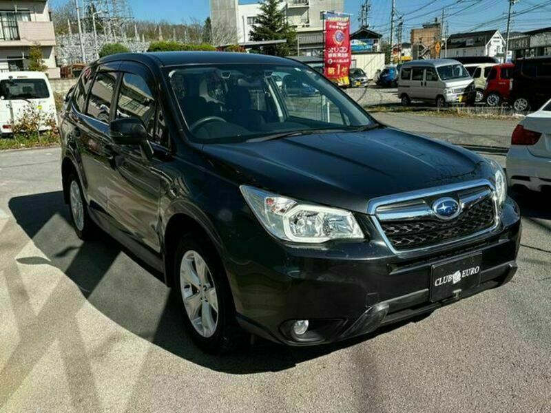 FORESTER