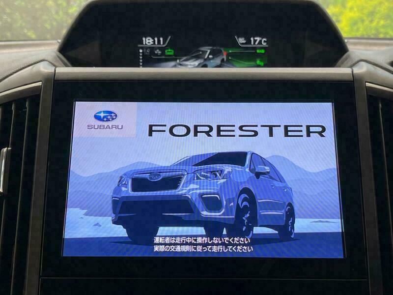 FORESTER