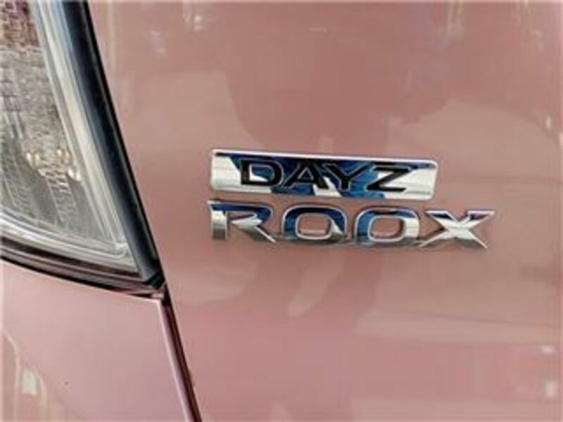 DAYZ ROOX-17
