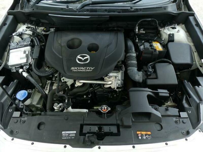 CX-3-18