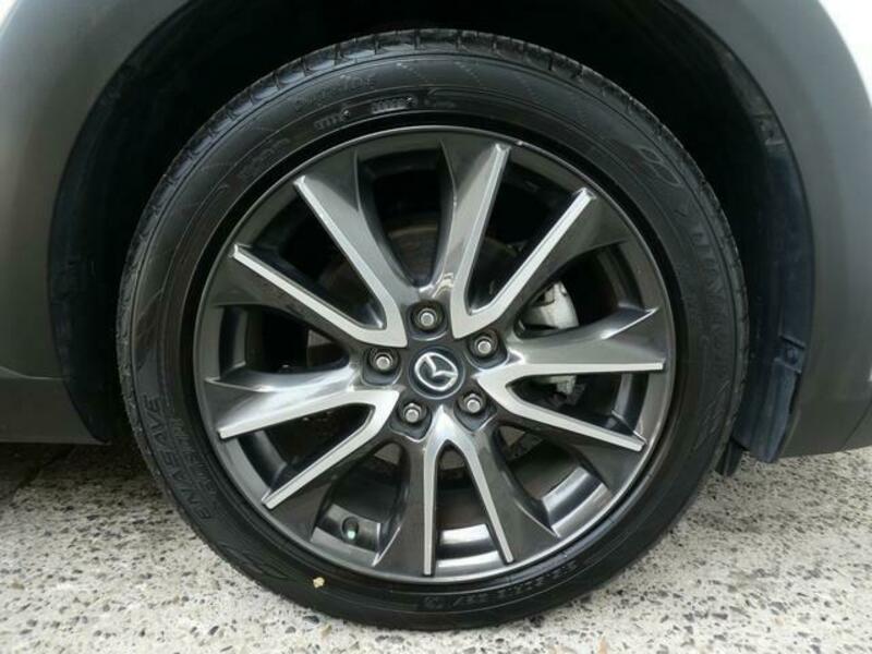 CX-3-19