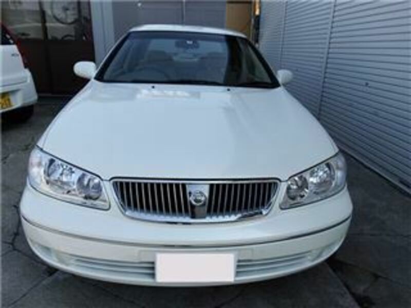 BLUEBIRD SYLPHY