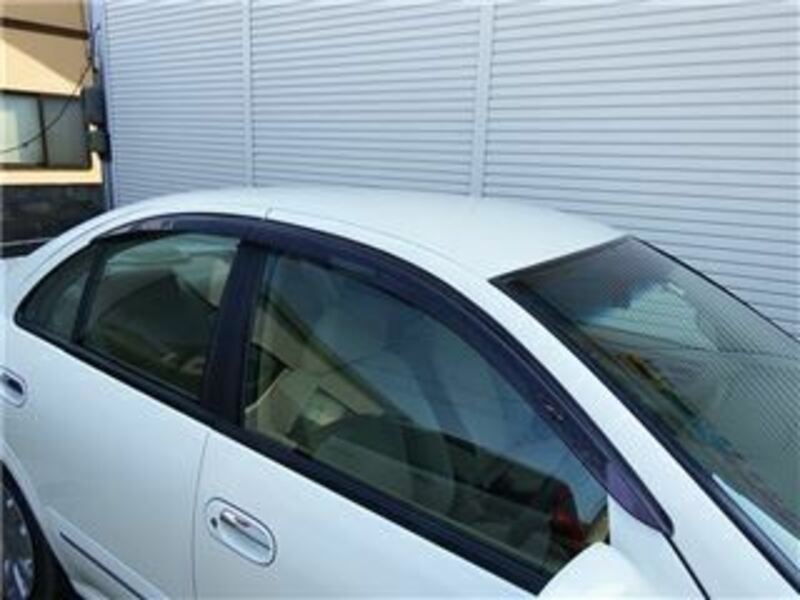 BLUEBIRD SYLPHY