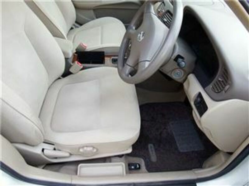BLUEBIRD SYLPHY
