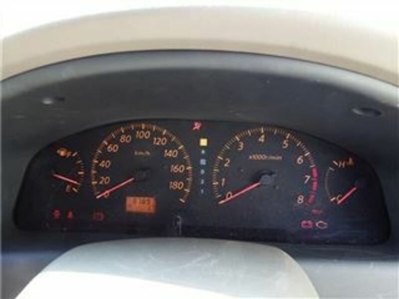 BLUEBIRD SYLPHY