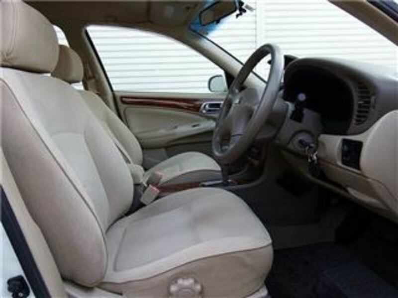 BLUEBIRD SYLPHY