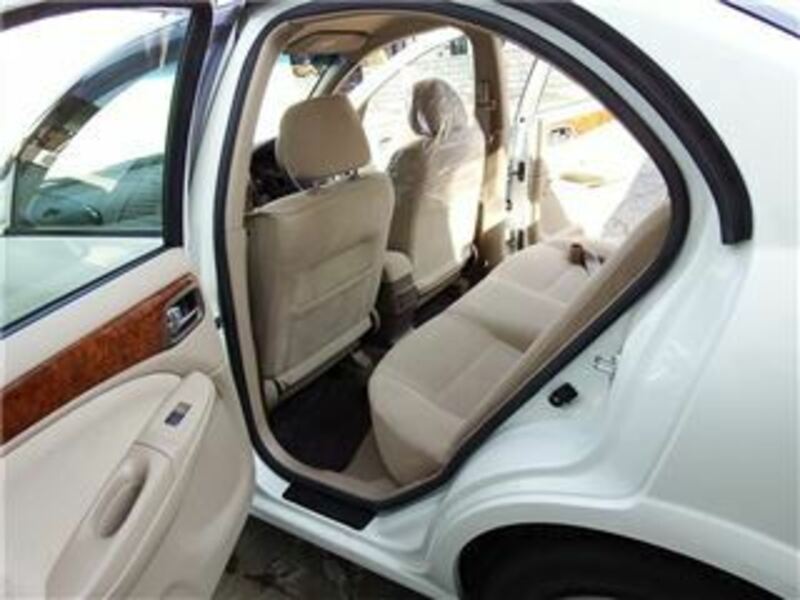 BLUEBIRD SYLPHY