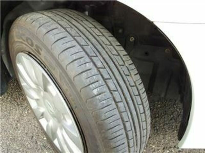 BLUEBIRD SYLPHY
