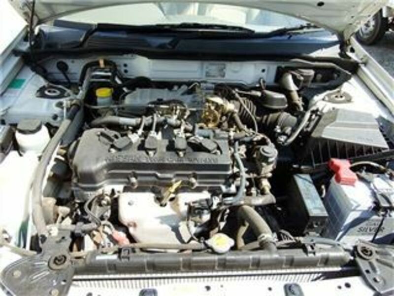 BLUEBIRD SYLPHY