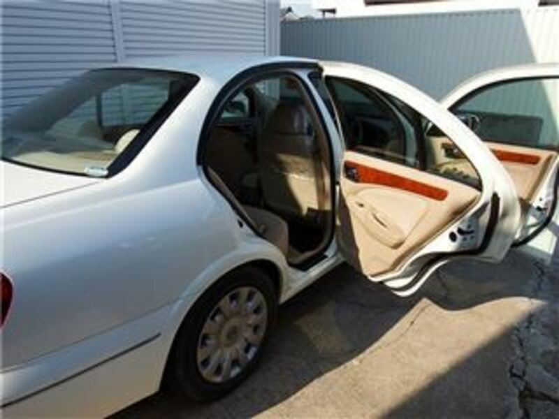 BLUEBIRD SYLPHY