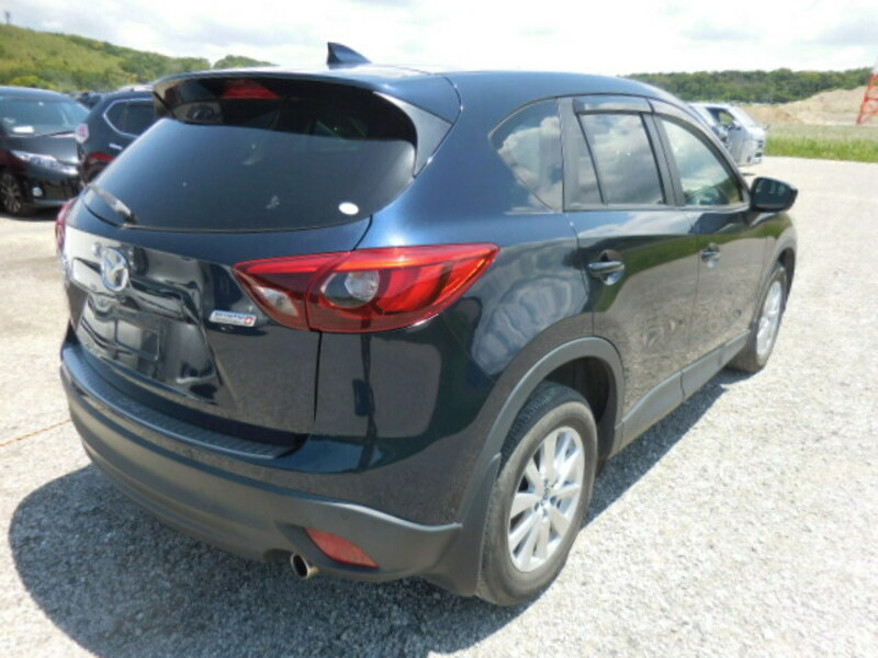 CX-5-31