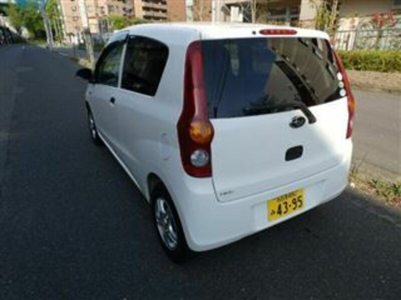 PLEO