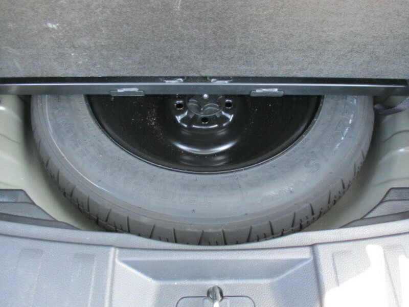 X-TRAIL-25