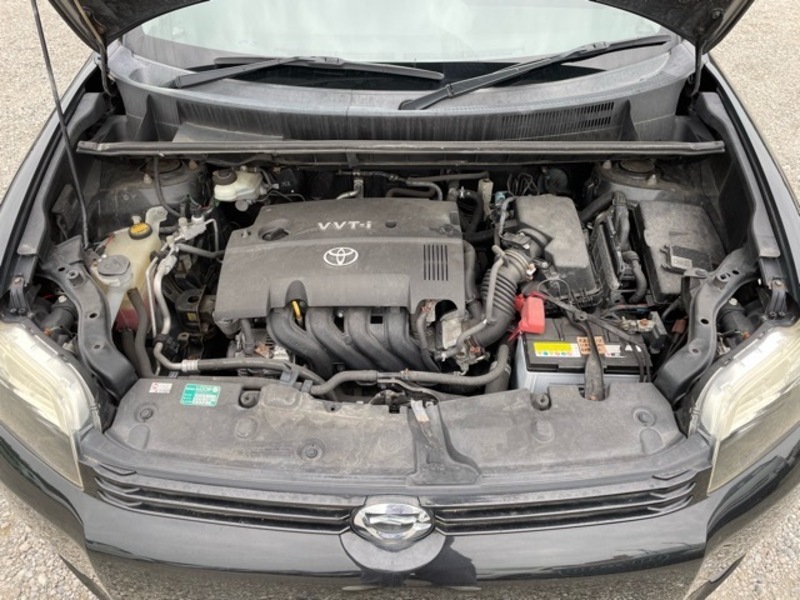COROLLA RUMION
