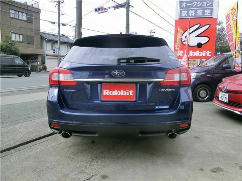 LEVORG