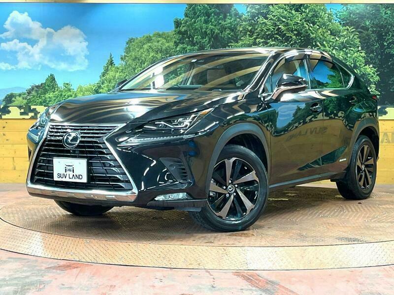 Used 2017 LEXUS NX AYZ10 | SBI Motor Japan