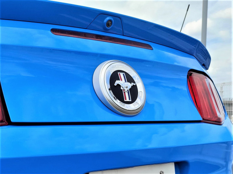 MUSTANG