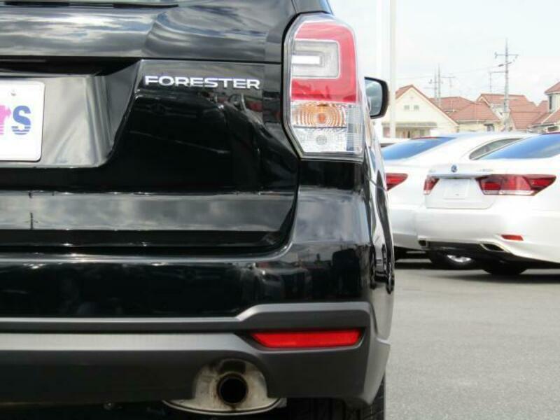 FORESTER-12
