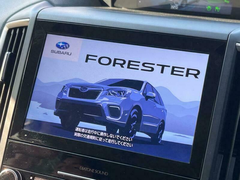 FORESTER