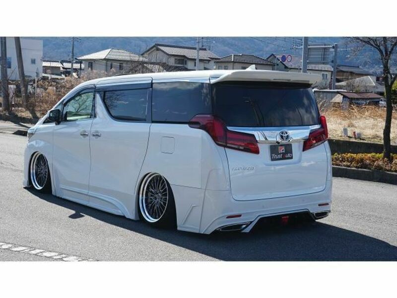 ALPHARD-6