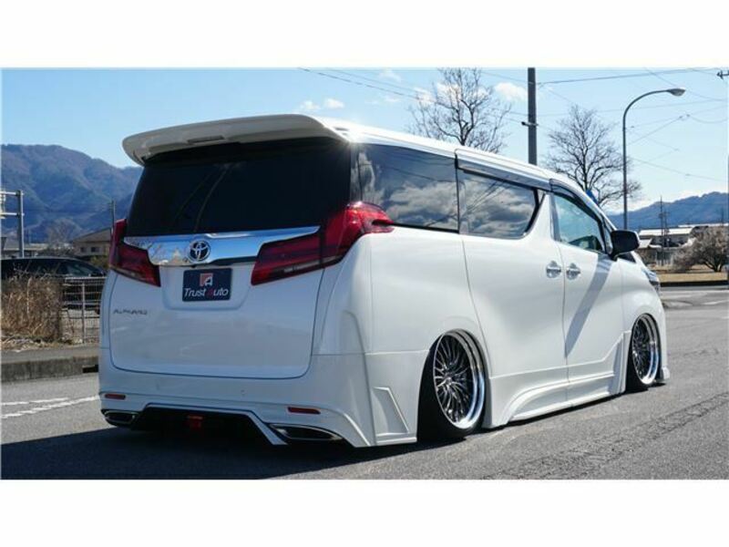 ALPHARD-8